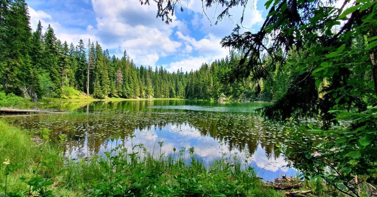 Hedonist Village Zabljak  Ngoại thất bức ảnh