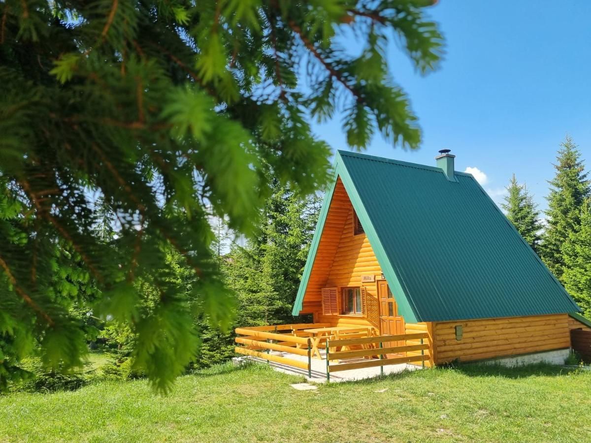 Hedonist Village Zabljak  Ngoại thất bức ảnh
