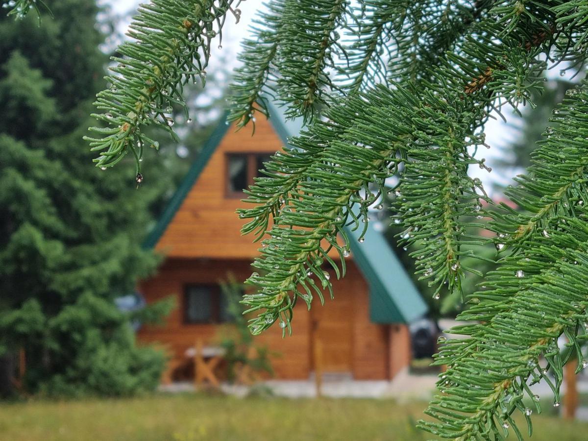 Hedonist Village Zabljak  Ngoại thất bức ảnh
